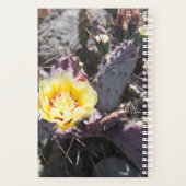 Yellow cactus (Dos)
