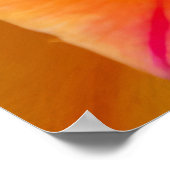 Yellow Cactus Blossom Poster (Hoek)