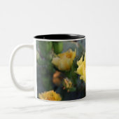 Yellow Cactus Flowers Mok (Links)