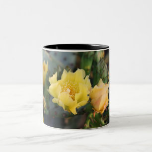 Yellow Cactus Flowers Mok