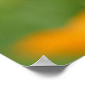 Yellow California Poppy Poster (Hoek)