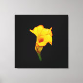 Yellow Calla Lilly Canvas Afdruk (Voorkant)