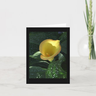 Yellow Calla Lily Blank Notecard Kaart