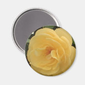Yellow Camellia Magnet Magneet (Voorkant / Achterkant)