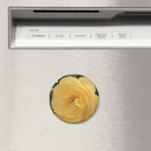 Yellow Camellia Magnet Magneet (Insitu (Vaatwasser))