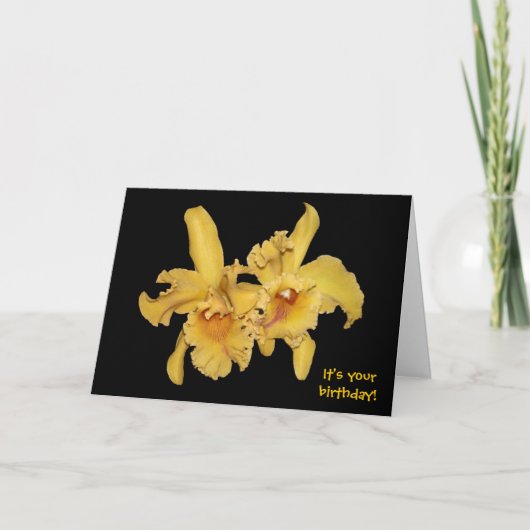 Yellow Cattleya Orchid Verjaardag Kaart (Voorkant)