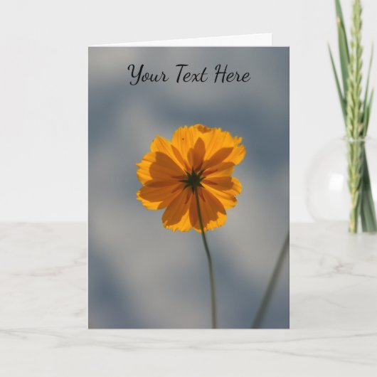 Yellow Coreopsis Kaart (Voorkant)