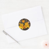 Yellow Crocus Ronde Sticker (Envelop)