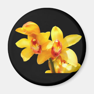 Yellow Cymbidium Orchid Magnet Magneet