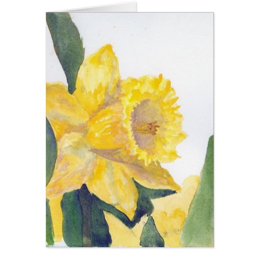Yellow Daffodil (Voorkant)