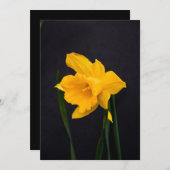 Yellow Daffodil Bedankkaart (Voorkant / Achterkant)