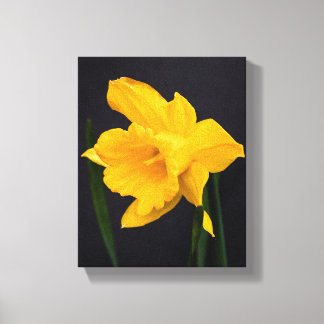 Yellow Daffodil Canvas Afdruk