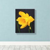 Yellow Daffodil Canvas Afdruk (Insitu (Houten vloer))