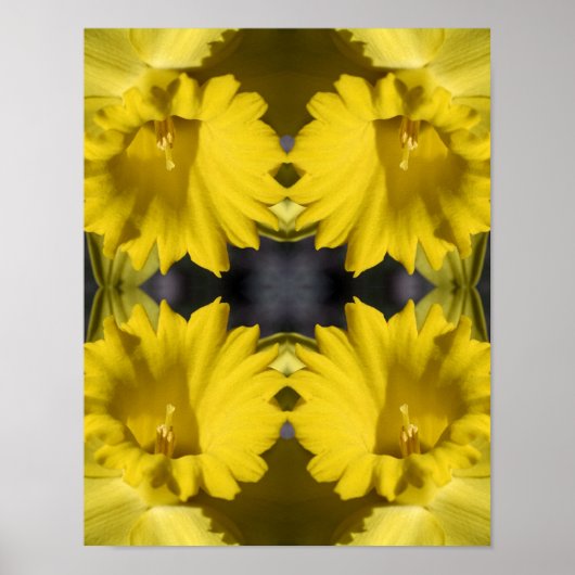 Yellow Daffodil Centre Abstract Poster (Voorkant)