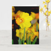 Yellow Daffodil-kaart Kaart (Gele Bloem)