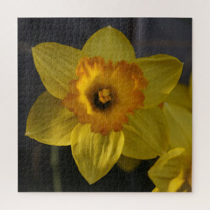 Yellow Daffodil Legpuzzel