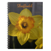 Yellow Daffodil Notitieboek (Voorkant)