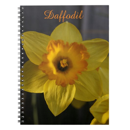 Yellow Daffodil Notitieboek (Voorkant)