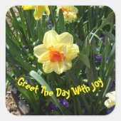 Yellow Daffodil Vierkante Sticker (Voorkant)