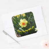 Yellow Daffodil Vierkante Sticker (Envelop)