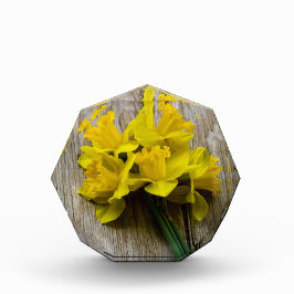 Yellow Daffodils Photo Block Fotoblokken