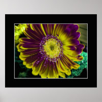 Yellow Dahlia Abstracte kunst