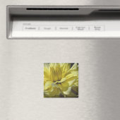 Yellow Dahlia Macro Flower Photography Magnet Magneet (Insitu (Vaatwasser))