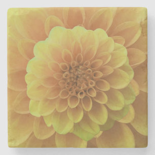 Yellow Dahlia Stenen Onderzetter