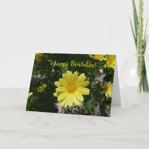 Yellow Daisies Kaart