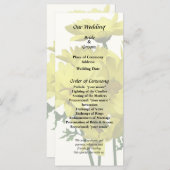 Yellow Daisies Programma (Voorkant / Achterkant)