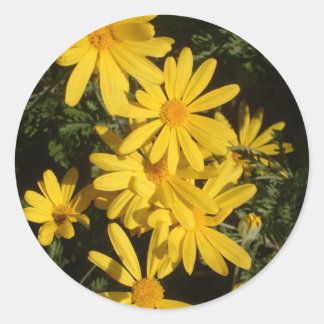 Yellow Daisies Ronde Sticker