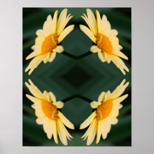 Yellow Daisy Flower Close Up Mirror Abstract Poster