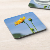 Yellow Daisy Helenium Bier Onderzetter (Linkerzijde)