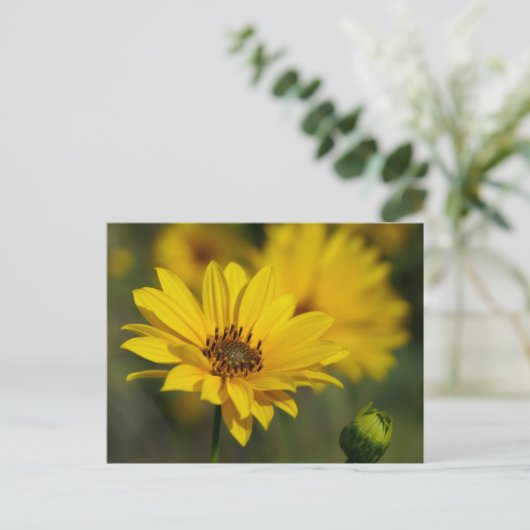 Yellow Daisy Helenium Briefkaart (Staand voorkant)