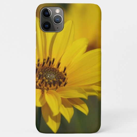Yellow Daisy Helenium Case-Mate iPhone Case (Achterkant)