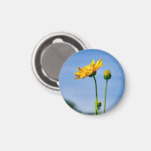 Yellow Daisy Helenium Magneet (Voorkant / Achterkant)