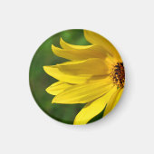 Yellow Daisy Helenium Magneet (Voorkant)