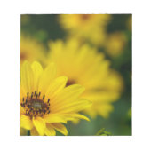 Yellow Daisy Helenium Notitieblok (Voorkant)