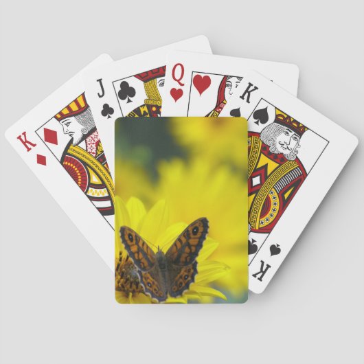 Yellow Daisy Helenium Pokerkaarten (Achterkant)