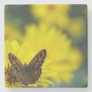 Yellow Daisy Helenium Stenen Onderzetter