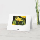 Yellow Daisy Kaart (Achterkant)