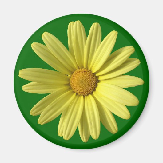 Yellow Daisy Magneet (Voorkant)