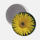 Yellow Daisy Magnet Magneet (Voorkant / Achterkant)
