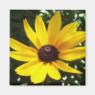 Yellow Daisy Magnet Magneet