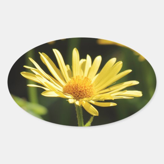 Yellow Daisy Ovale Sticker (Voorkant)