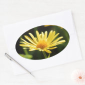 Yellow Daisy Ovale Sticker (Envelop)