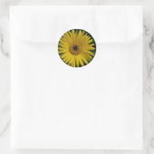 Yellow Daisy Stickers (Tas)