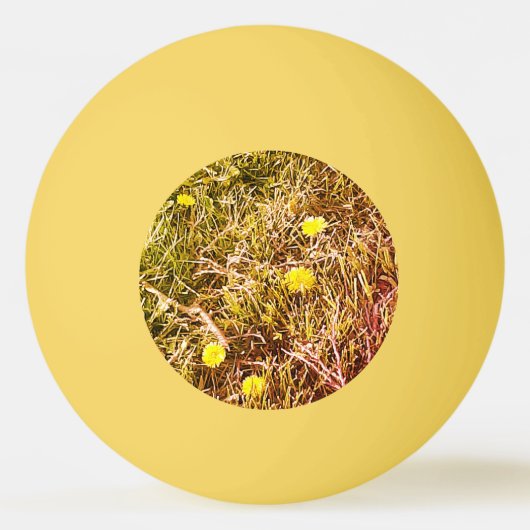Yellow Dandelions Dart Board Pingpongballen (Voorkant)