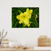 Yellow Daylilies Poster (Keuken)