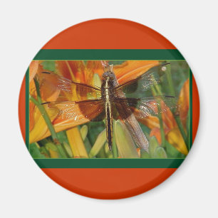 Yellow Dragonfly Magnet Magneet